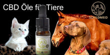 Lade das Bild in den Galerie-Viewer, Schildmeid® Tiere CBD Hanföl 10% 10 ml
