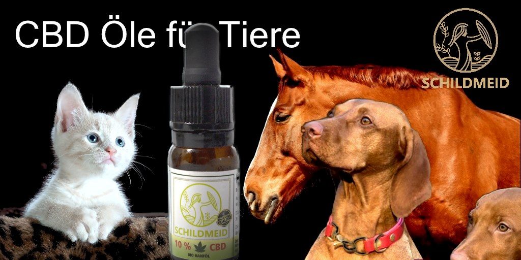 Schildmeid® Tiere CBD Hanföl 10% 10 ml