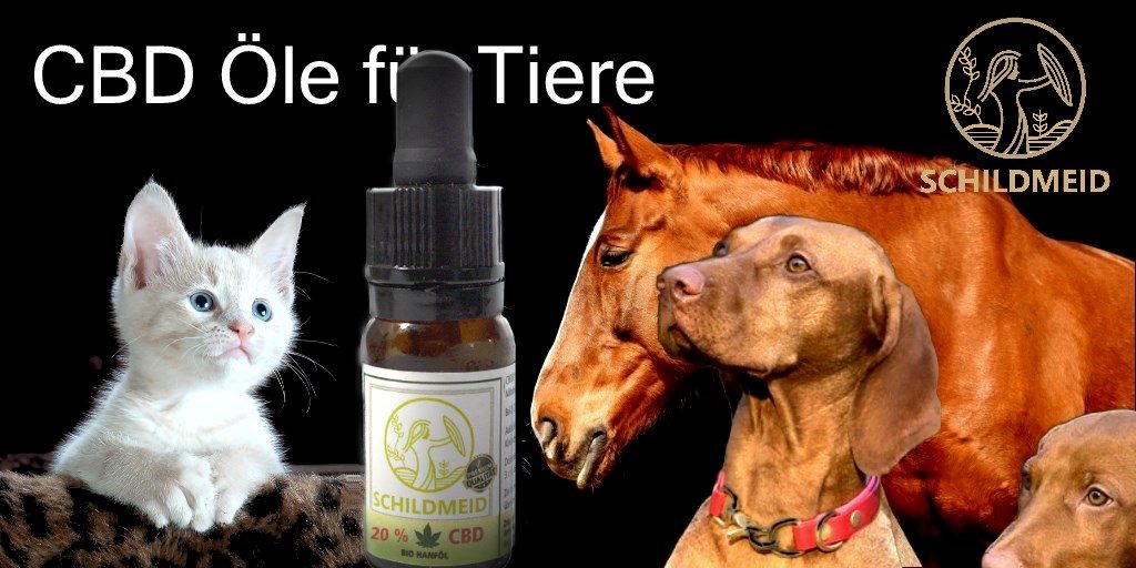 Schildmeid® Tiere CBD Öl 20% 10 ml