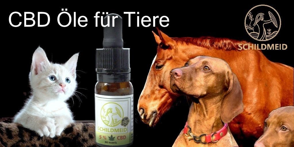 Schildmeid® Tiere CBD Hanföl 5% 10 ml